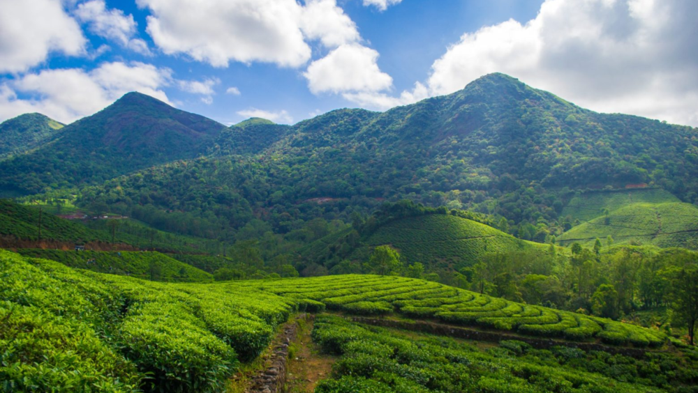Things to Do in Vagamon – Ultimate Travel Guide (Kerala)