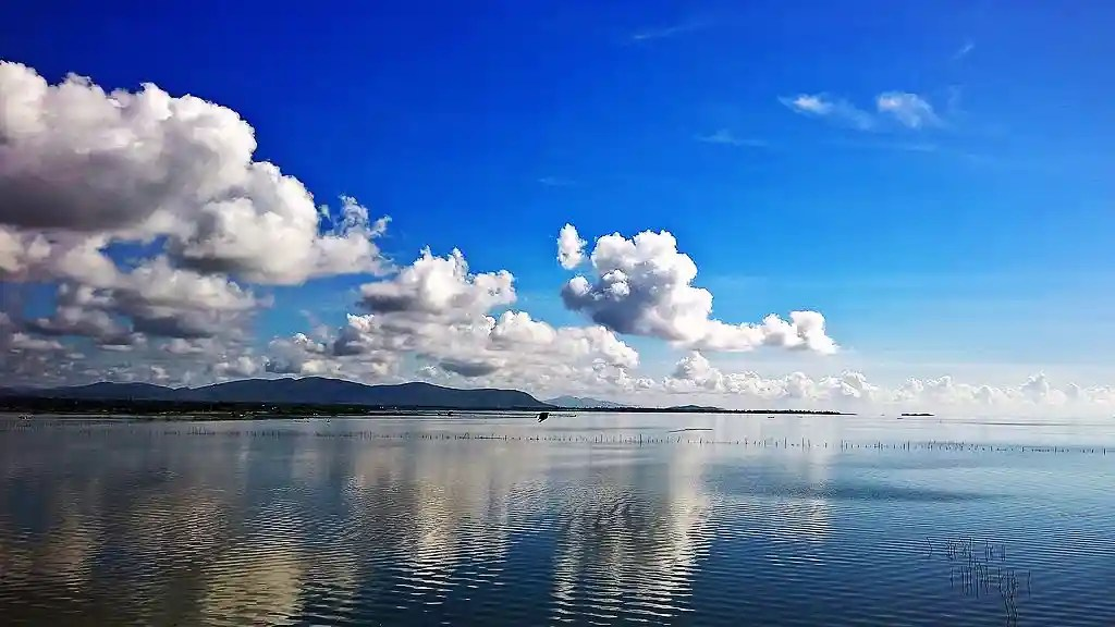 Chilika Lake