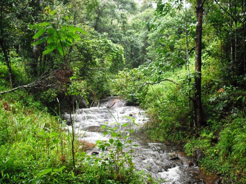 Silent Valley National Park