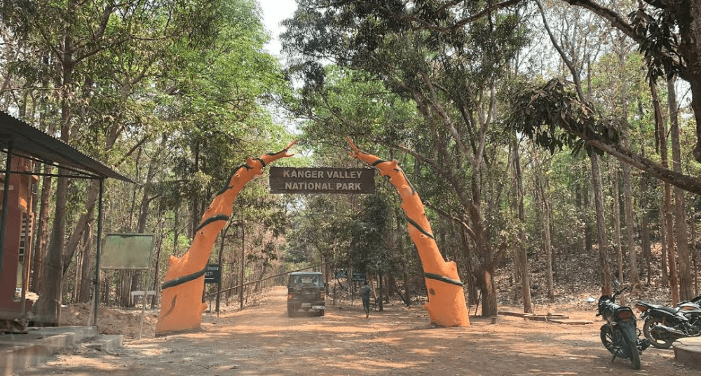 Things to do in Chhattisgarh - Kanger Valley National Park
