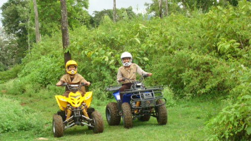 Yercaud Hill - Grange Tree Top Park