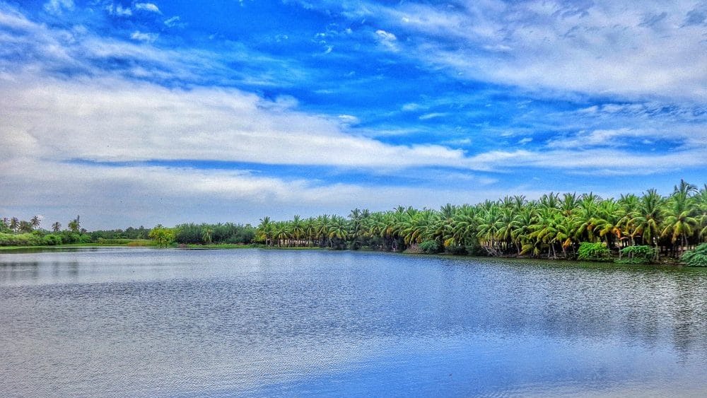 Explore Fun Activities in Pondicherry: Beaches, Heritage & More