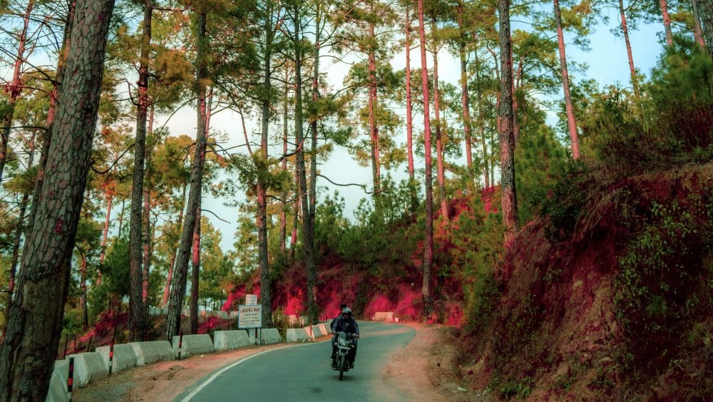 Things to do in Kausani