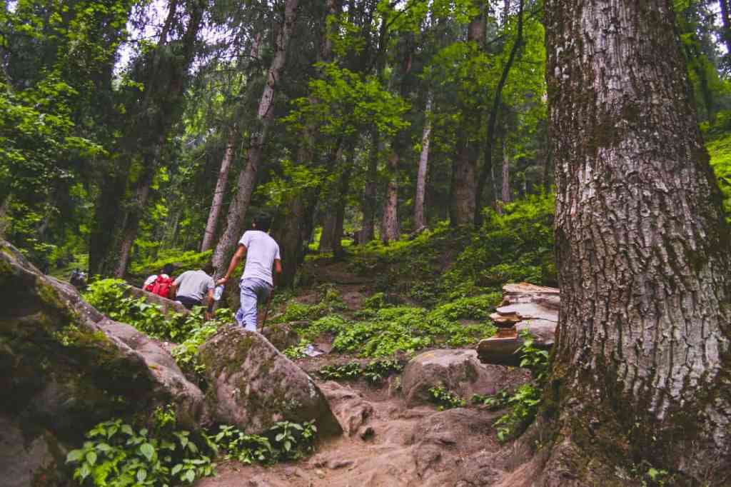 Your Ultimate Guide to the Best Treks in Himachal Pradesh