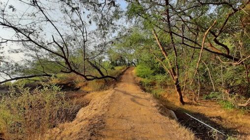 Dumna Nature Reserve