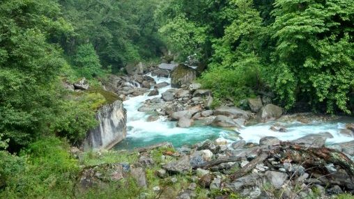 Discover Offbeat Location in Himachal - Sainj_River