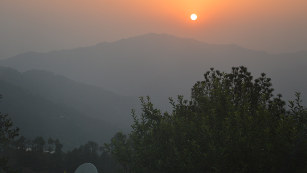 Things to do in Chail_Himachal_Pradesh